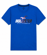 Hollister Graphic cotton Crew T-Shirt