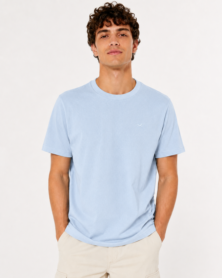 Hollister Icon T-Shirt