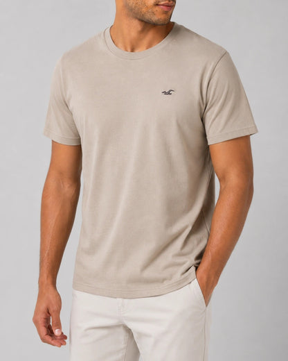 Hollister Cotton Icon T-Shirt