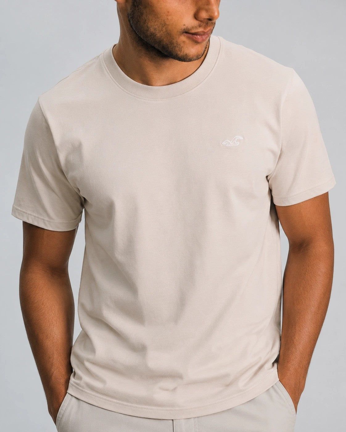 Hollister Cotton Icon T-Shirt