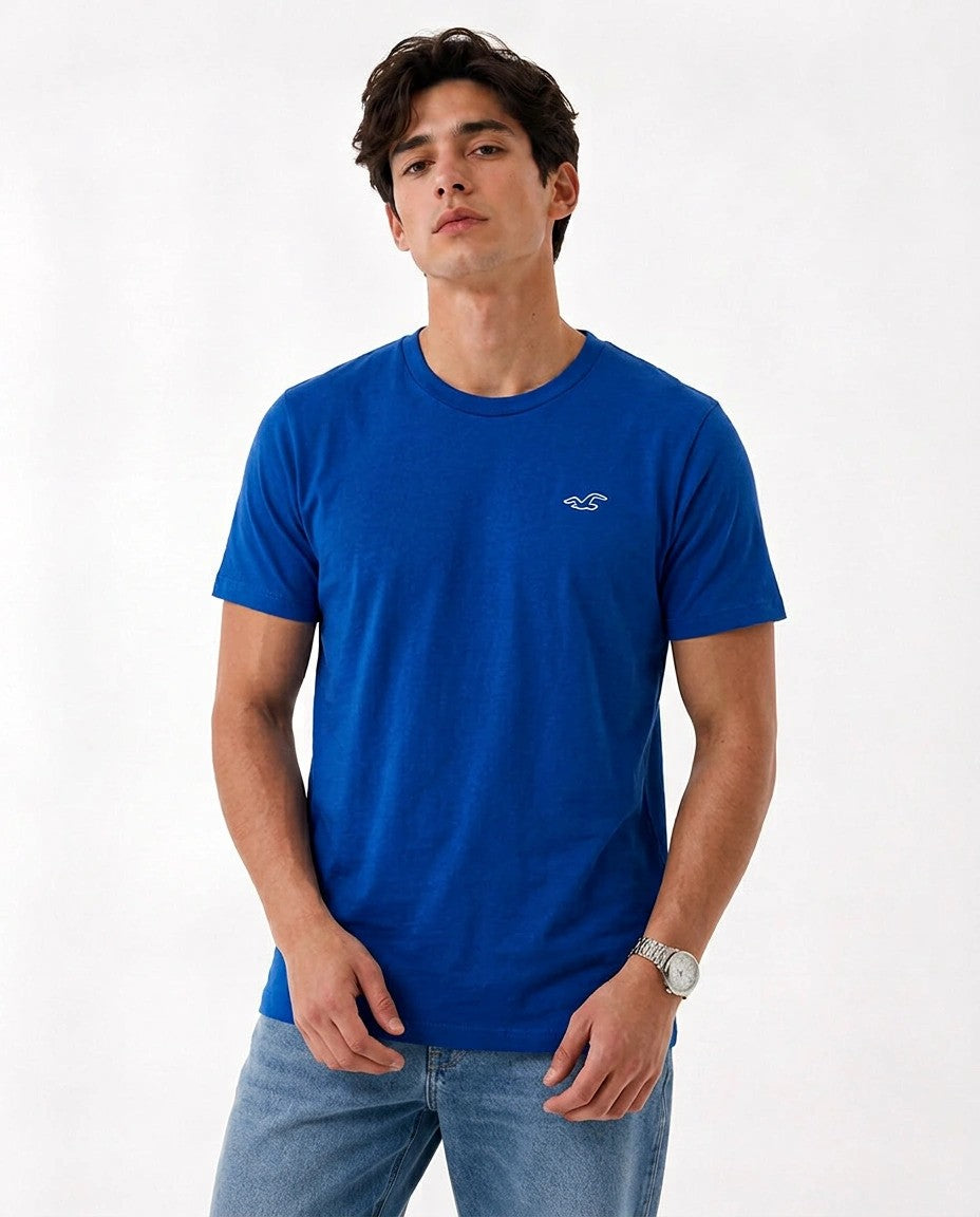 Hollister Icon T-Shirt