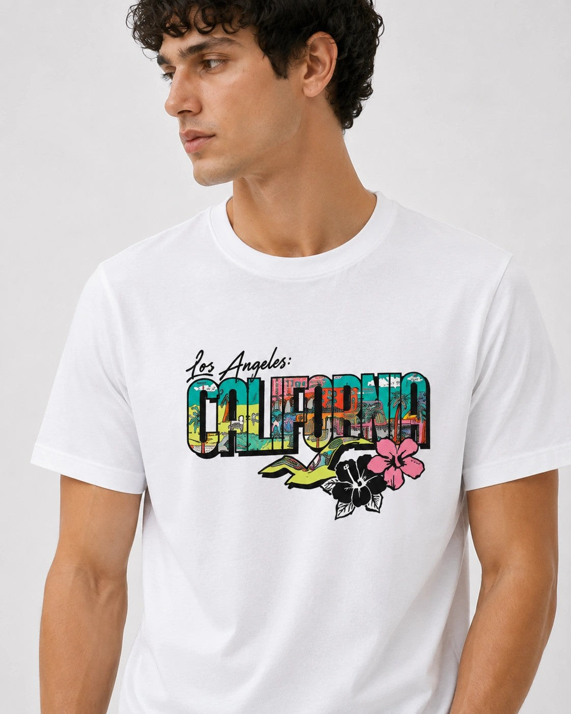 Hollister Graphic cotton Crew T-Shirt